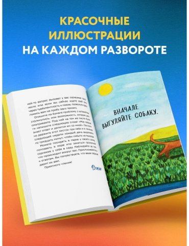 Книга Стрелеки Дж. П.: Все хорошее приходит к тем, кто следует за своим сердцем. Cборник озарений, чтобы прислушаться к себе купить,NaN