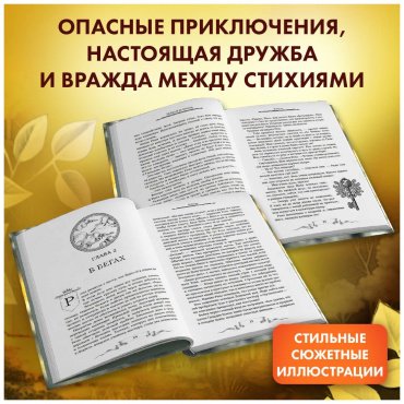 Книга Брандис К.: Дареш. Сердце белого леса (#1) купить,NaN