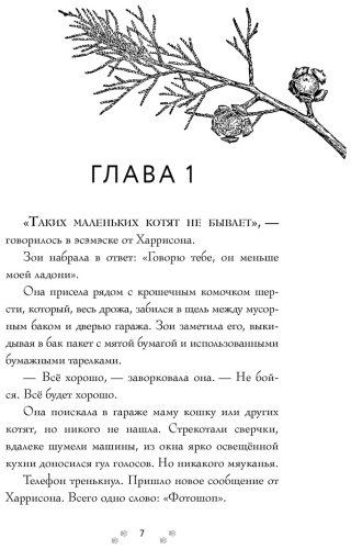 Книга Дёрст С.: Самая большая кошка на свете купить,NaN