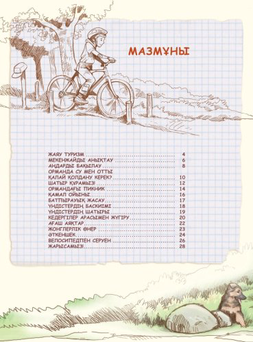 Книга Рензо Барзотти: Ұлдарға арналған хобби купить,NaN