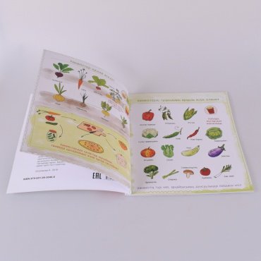 Книга Сапакова А.: Тамақ қайдан келеді? купить,NaN