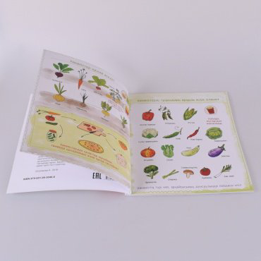 Книга Сапакова А.: Тамақ қайдан келеді? купить,NaN