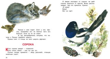 Книга Чарушин Е.: Друзья купить,NaN