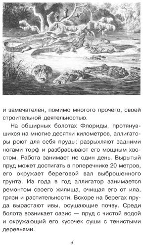 Книга Волцит О. В., Иваницкий В. В.: Тайны живой природы купить,NaN