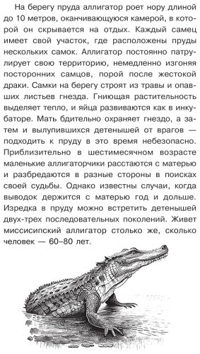 Книга Волцит О. В., Иваницкий В. В.: Тайны живой природы купить,NaN