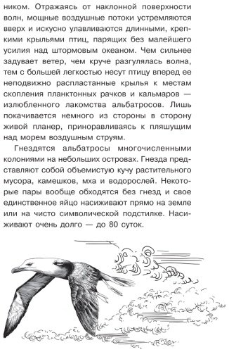 Книга Волцит О. В., Иваницкий В. В.: Тайны живой природы купить,NaN