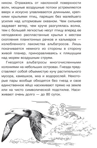 Книга Волцит О. В., Иваницкий В. В.: Тайны живой природы купить,NaN