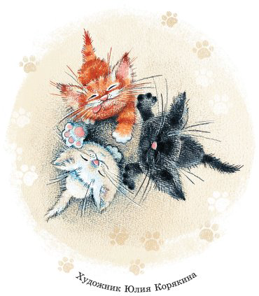 Книга Данилова И.: Курочкин котенок купить,NaN