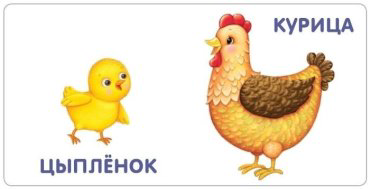 Книга Книжки - картонки. Малыши и мамы купить,NaN