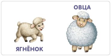 Книга Книжки - картонки. Малыши и мамы купить,NaN