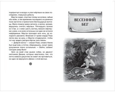 Книга Киплинг Р.: Маугли купить,NaN
