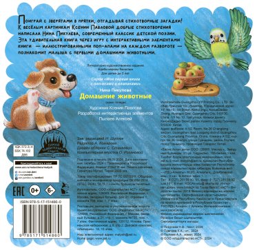 Книга Пикулева Н. В.: Домашние животные купить,NaN