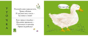 Книга Без автора: Перевертыши. Домашние животные. Картинки - половинки купить,NaN