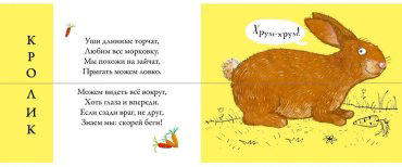 Книга Без автора: Перевертыши. Домашние животные. Картинки - половинки купить,NaN