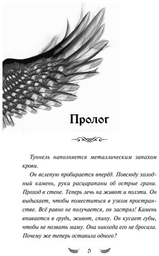 Книга Вольц Х.: Соколиный пик. Стражи небес 1 купить,NaN