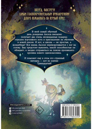 Книга Мальорки С.: Кот по кличке Тринадцатый купить,NaN