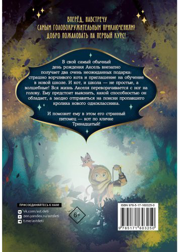Книга Мальорки С.: Кот по кличке Тринадцатый купить,NaN