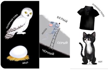 Книга Без автора: Книжки - задвижки. Какой это цвет купить,NaN