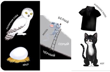 Книга Без автора: Книжки - задвижки. Какой это цвет купить,NaN
