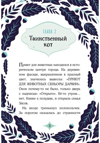 Книга Мальорки С.: Кот по кличке Тринадцатый купить,NaN