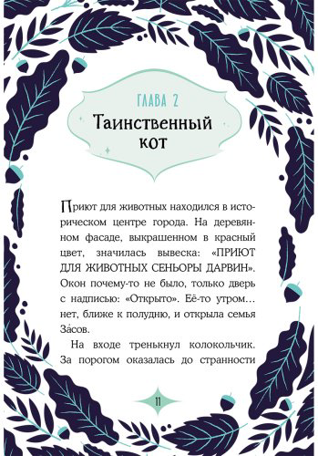 Книга Мальорки С.: Кот по кличке Тринадцатый купить,NaN