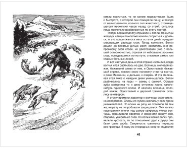 Книга Лондон Дж.: Белый клык купить,NaN