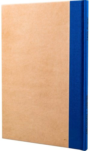 Книга Паевская Е.: Сәлем, Астана! купить,NaN