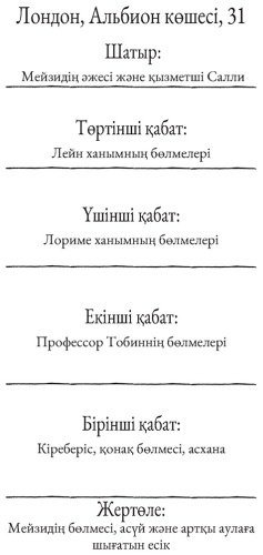 Книга Холли Вебб: Мейзи Хитчинс. Жоғалған меруертті алқаның оқиғасы купить,NaN