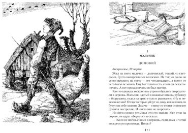 Книга Лагерлёф С.: Удивительное путешествие Нильса с дикими гусями купить,NaN