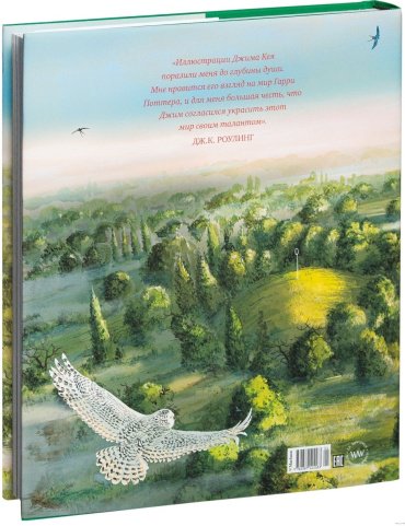 Книга Роулинг Дж. К.: Гарри Поттер и Тайная комната купить,NaN