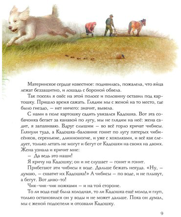 Книга Пришвин М. М.: Золотой луг. Рассказы о животных (илл. Дударенко) купить,NaN