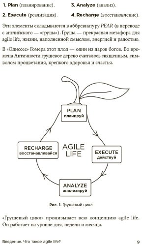 Книга Ленгольд К.: Agile life: Как вывести жизнь на новую орбиту, используя методы agile-планирования, нейрофизиологию и самокоучинг купить,NaN