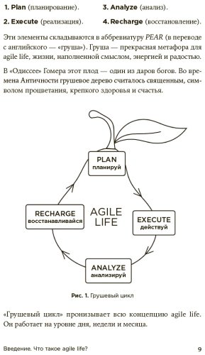 Книга Ленгольд К.: Agile life: Как вывести жизнь на новую орбиту, используя методы agile-планирования, нейрофизиологию и самокоучинг купить,NaN