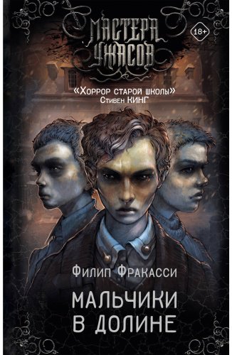 Книга Фракасси Ф.: Мальчики в долине купить,NaN