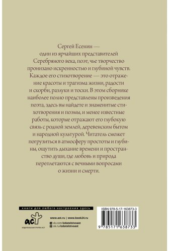 Книга Есенин С. А.: Поэзия. Все в одной книге купить,NaN