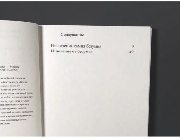 Книга Лабатут Б.: Камень безумия купить,NaN