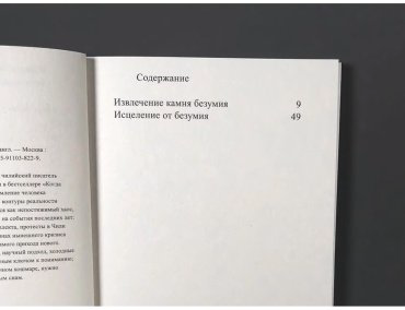 Книга Лабатут Б.: Камень безумия купить,NaN