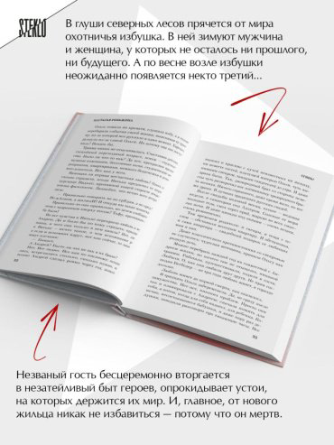 Книга Реньжина Н.: Сгинь! купить,NaN