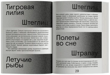 Книга Юнгер Э.: Сердце искателя приключений купить,NaN