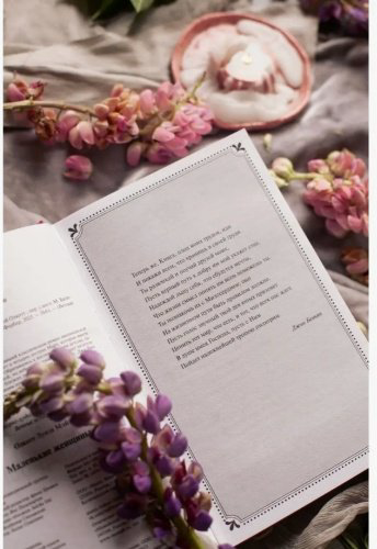 Книга Олкотт Л. М.: Маленькие женщины купить,NaN