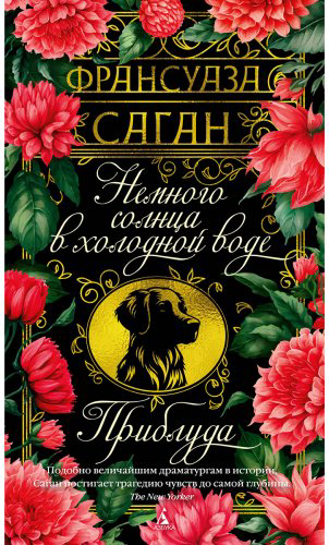 Книга Саган Ф.: Немного солнца в холодной воде. Приблуда купить,NaN