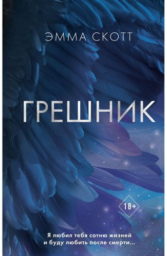 Книга Скотт Э.: Грешник купить,NaN
