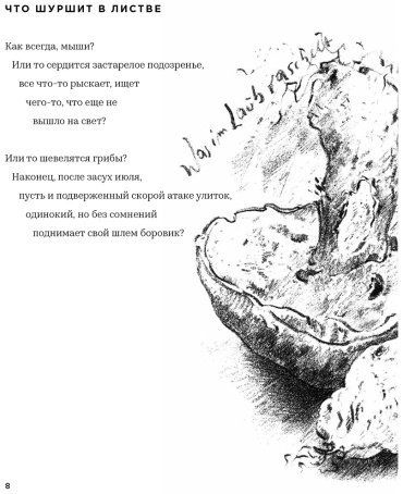 Книга Грасс Г.: Глупый август купить,NaN