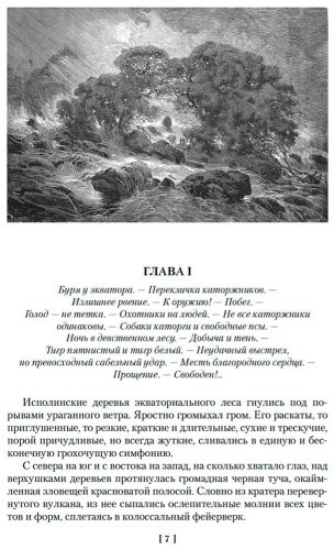 Книга Буссенар Л.: Гвианские робинзоны купить,NaN