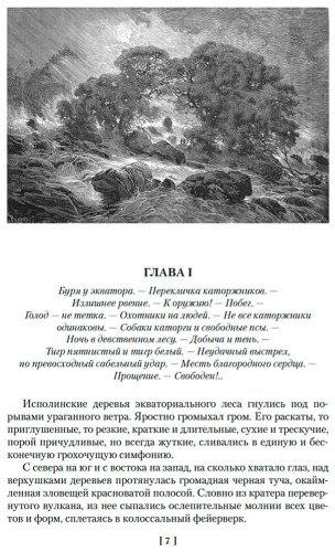 Книга Буссенар Л.: Гвианские робинзоны купить,NaN