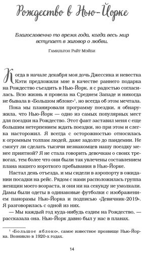 Книга Ньюмарк Э.: Куриный бульон для души: Дух Рождества. 101 история о самом чудесном времени в году купить,NaN