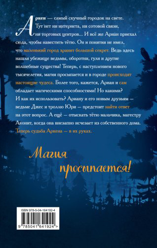 Книга Хольцапфель Ф.: Завеса Аркена (#1) купить,NaN