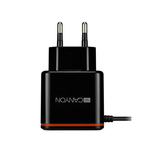 Зарядное устройство Canyon CNE-CHA02B черное купить,NaN