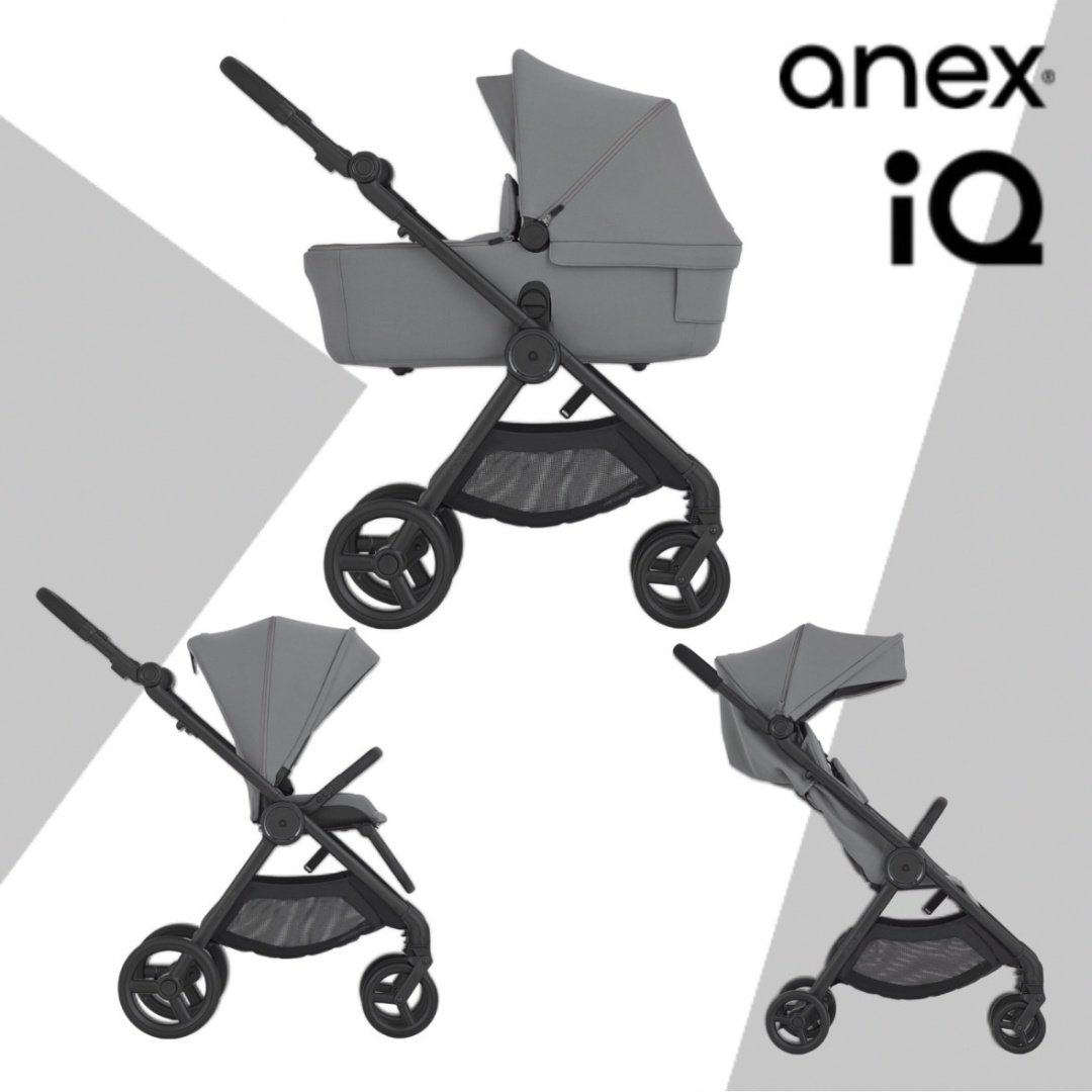 Коляска трансформер Anex IQ Basic Loft, серый