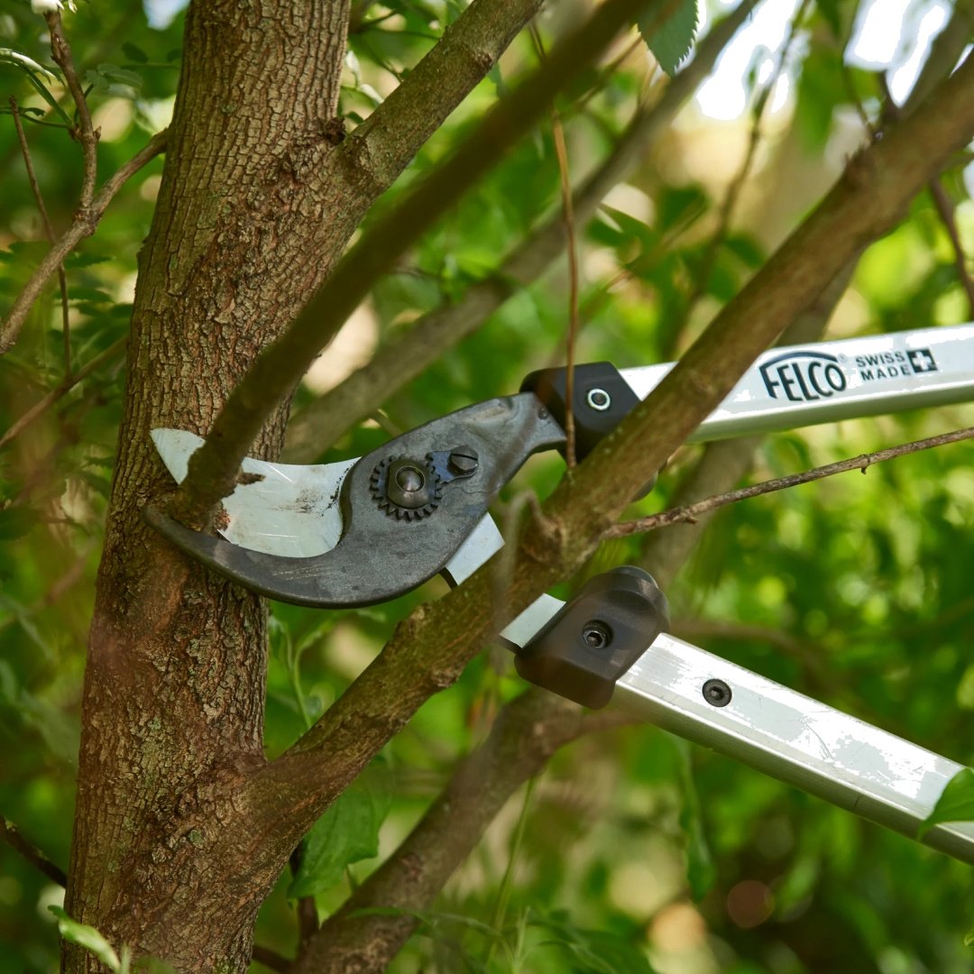 Сучкорез Felco 211-50 купить,55435